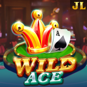 Wild Ace - Super King Slot